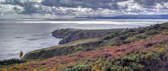 flowery field overlooking the ocean cliffs in dublin ireland