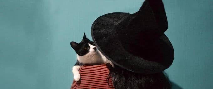 We'll Help You Choose Witch Cozy Mystery to Read Next