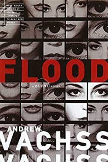 flood by andrew vachss