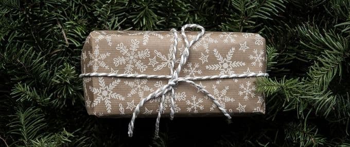 wrapped gift in christmas tree branches