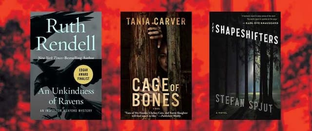 Must-Read Mystery and Thriller Authors Like Tana French