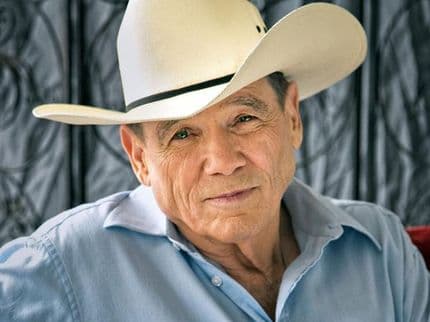 Wayfaring Stranger: The Thrilling Fiction of James Lee Burke